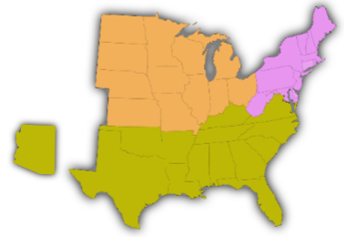 Regional Organization Map